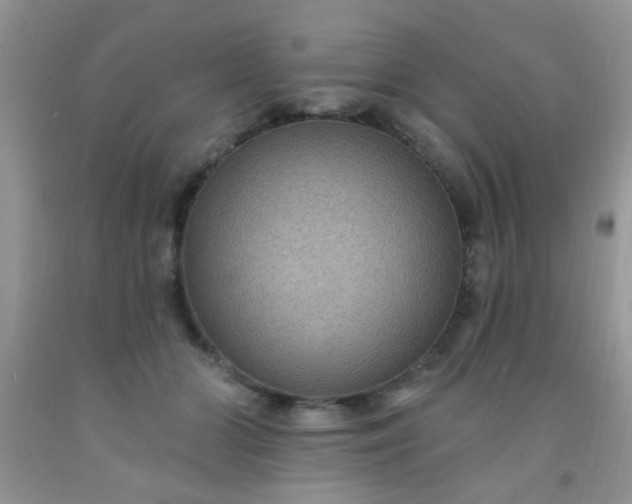 X0000092030510200709201615