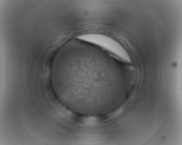 X0000092030513200709201615