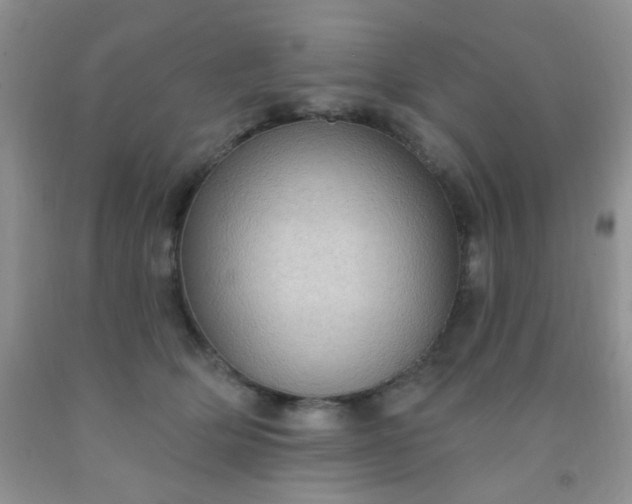 X0000092030514200709201615