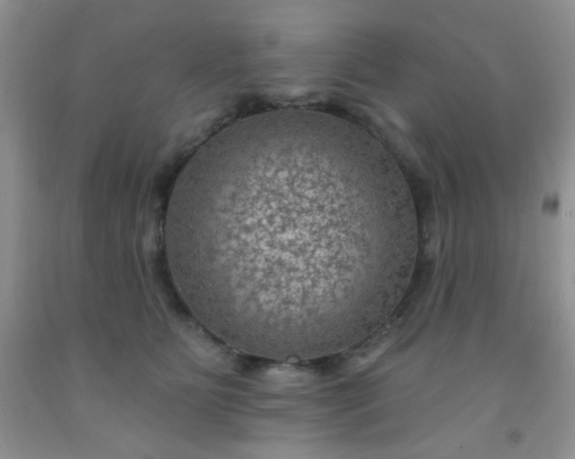 X0000092030515200709201615