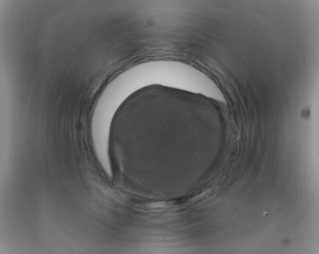 X0000092030516200709201615