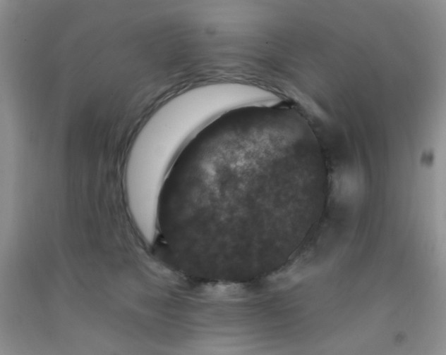 X0000092030517200709201615