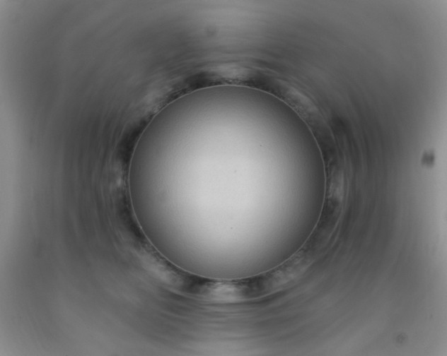 X0000092030518200709201615