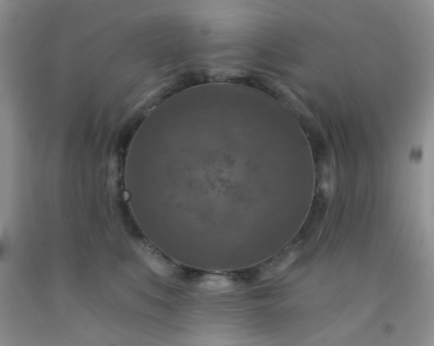 X0000092030519200709201614