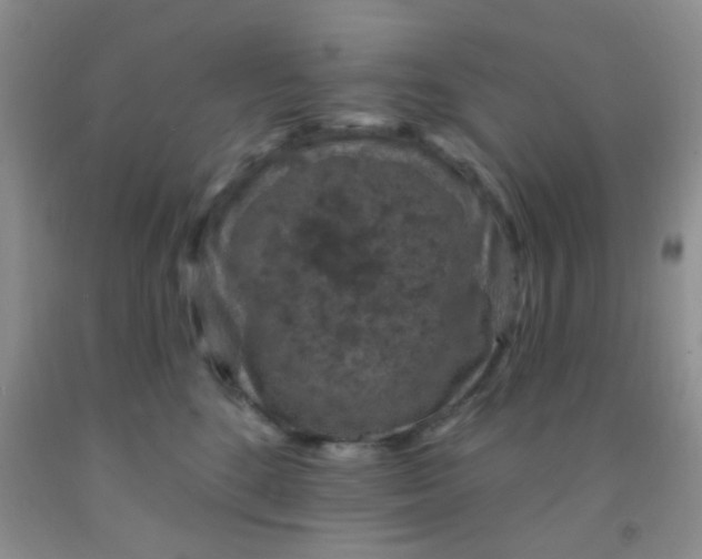 X0000092030520200709201614