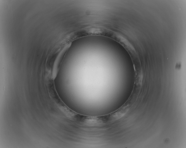 X0000092030521200709201614