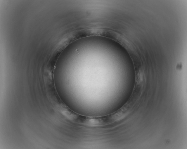 X0000092030522200709201614