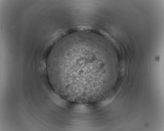 X0000092030523200709201614