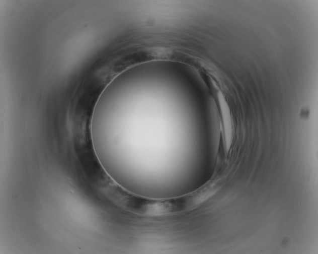 X0000092030525200709201614