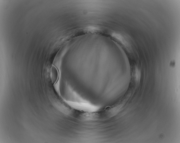 X0000092030526200709201614