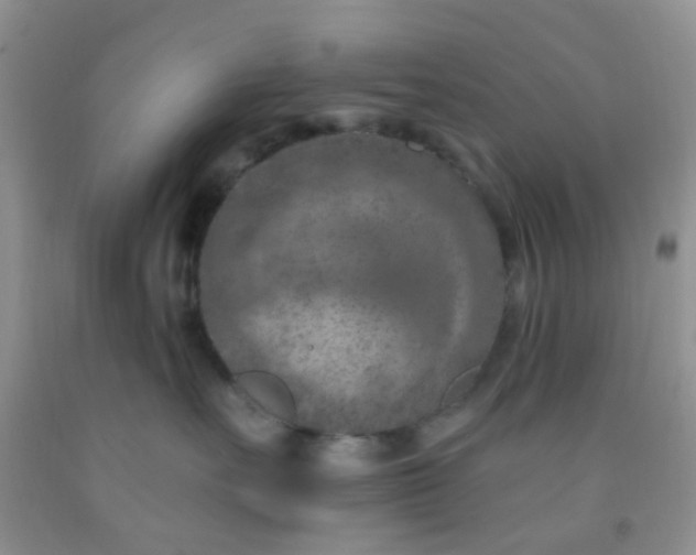 X0000092030527200709201614