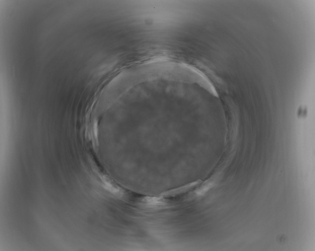 X0000092030528200709201614