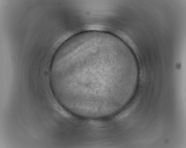 X0000092030529200709201614