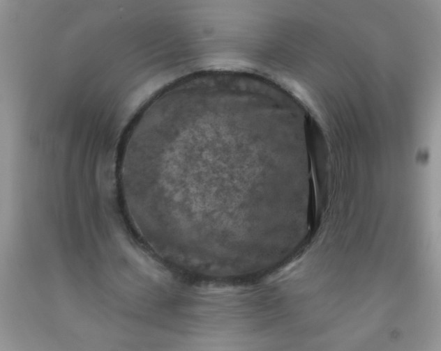 X0000092030531200709201614