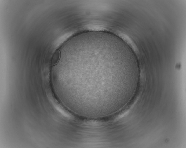 X0000092030533200709201614