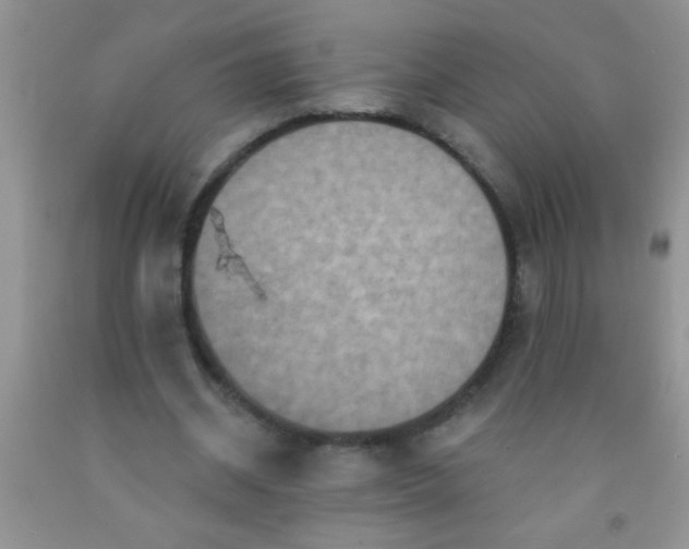 X0000092030534200709201614