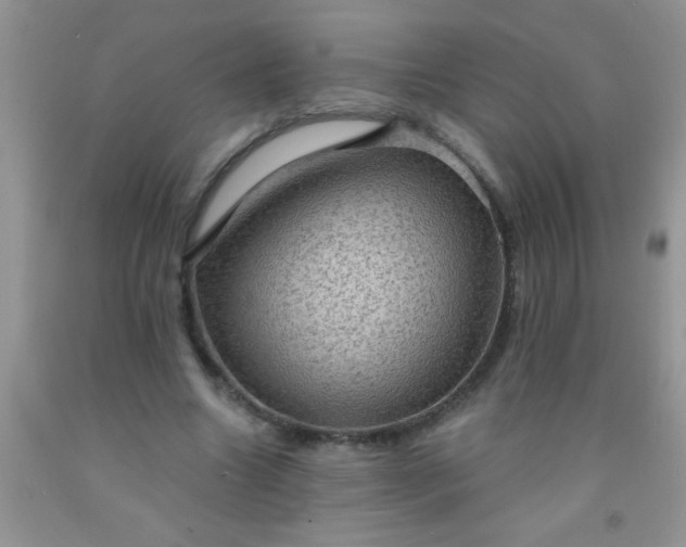 X0000092030538200709201614