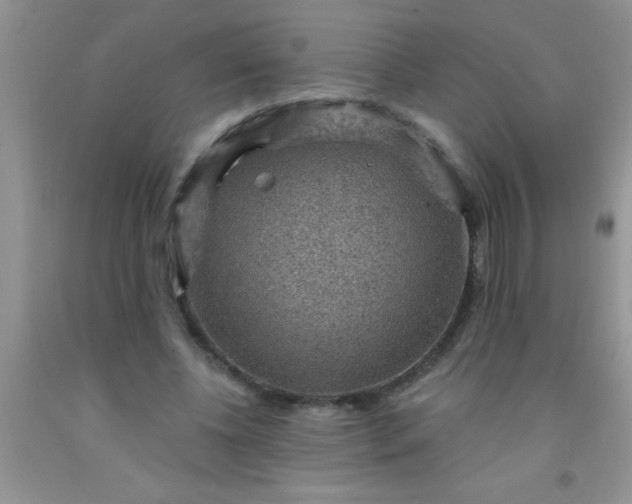 X0000092030540200709201614