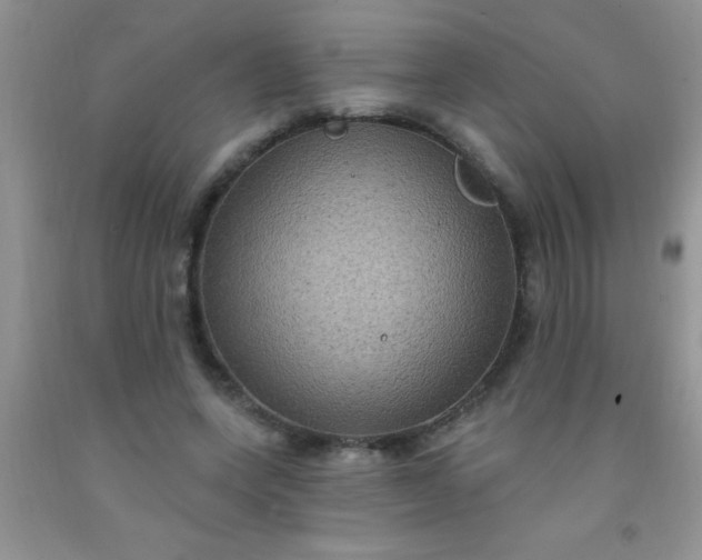 X0000092030543200709201614