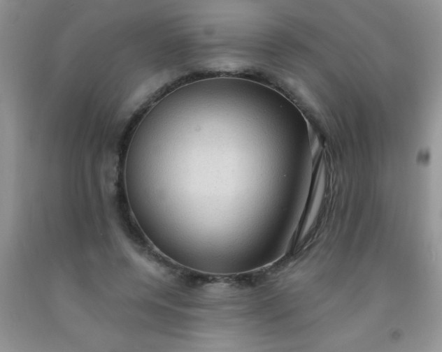 X0000092030544200709201614