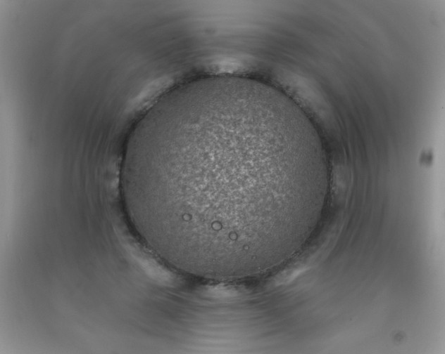 X0000092030545200709201614