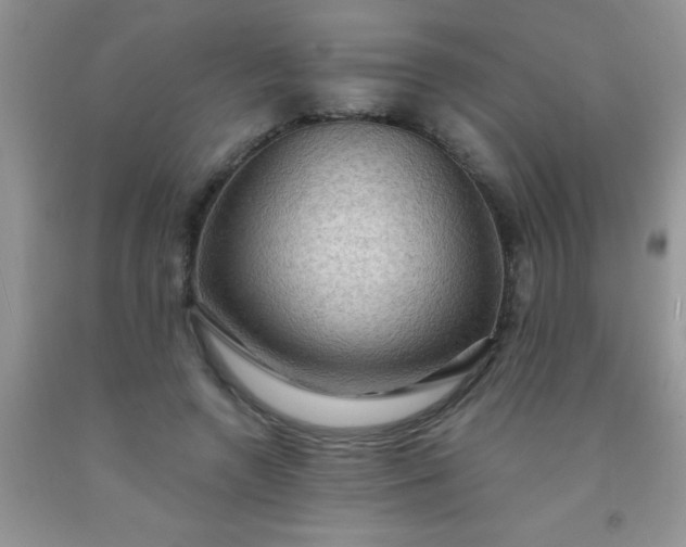 X0000092030546200709201614