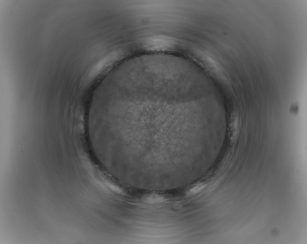 X0000092030547200709201614