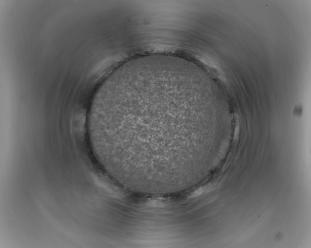 X0000092030550200709201614