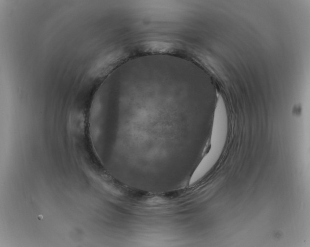 X0000092030551200709201614