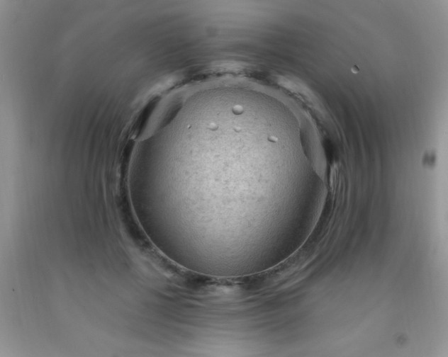 X0000092030552200709201614