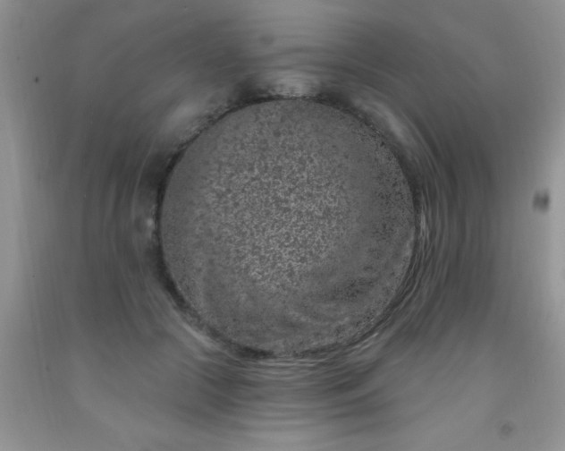 X0000092030553200709201614