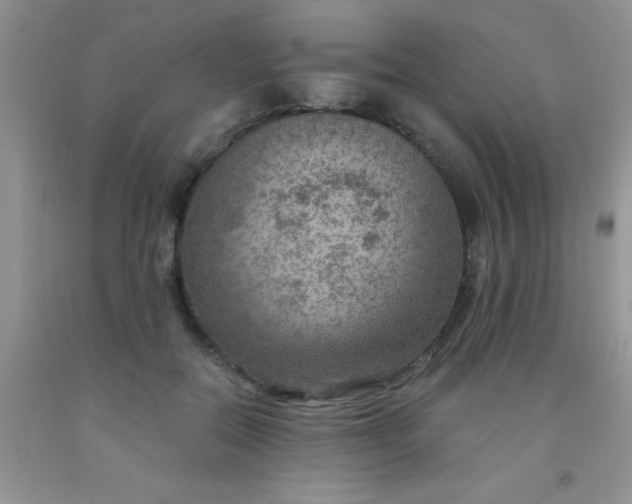 X0000092030554200709201614