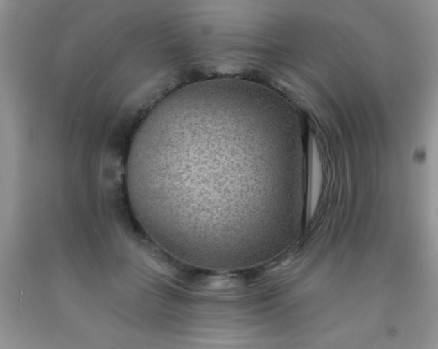 X0000092030555200709201614