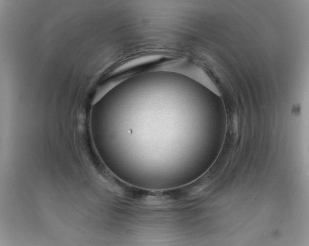 X0000092030556200709201614