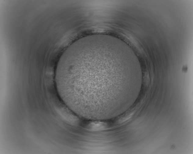 X0000092030557200709201614