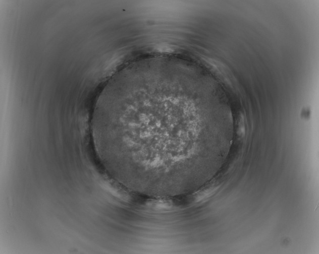 X0000092030559200709201614