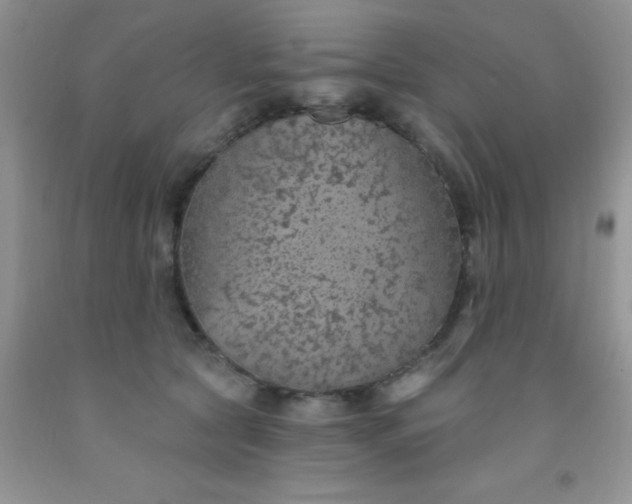 X0000092030561200709201614