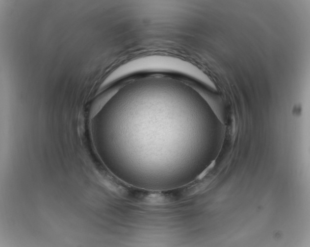 X0000092030562200709201614