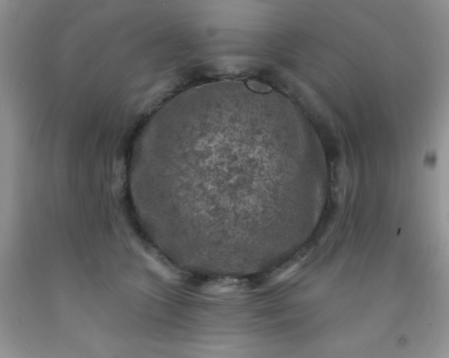 X0000092030563200709201614