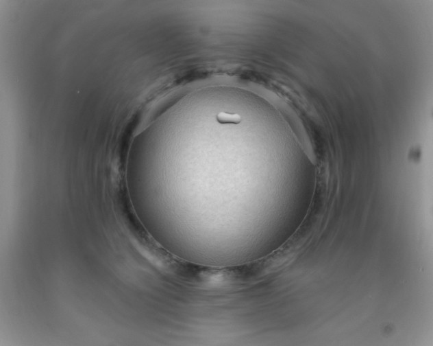 X0000092030564200709201614