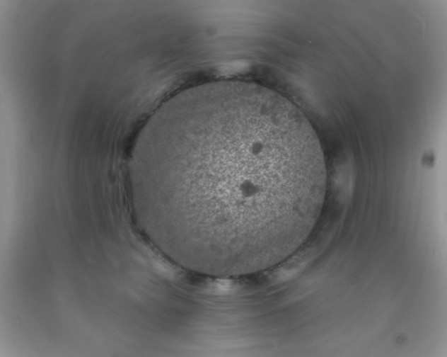 X0000092030565200709201614