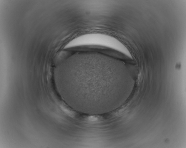 X0000092030566200709201614