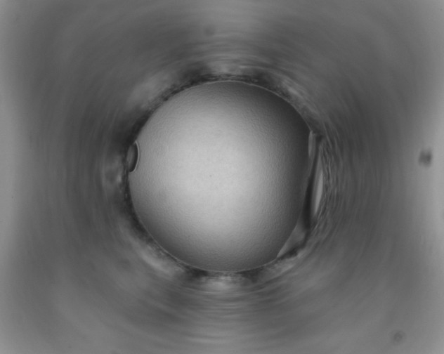 X0000092030567200709201614