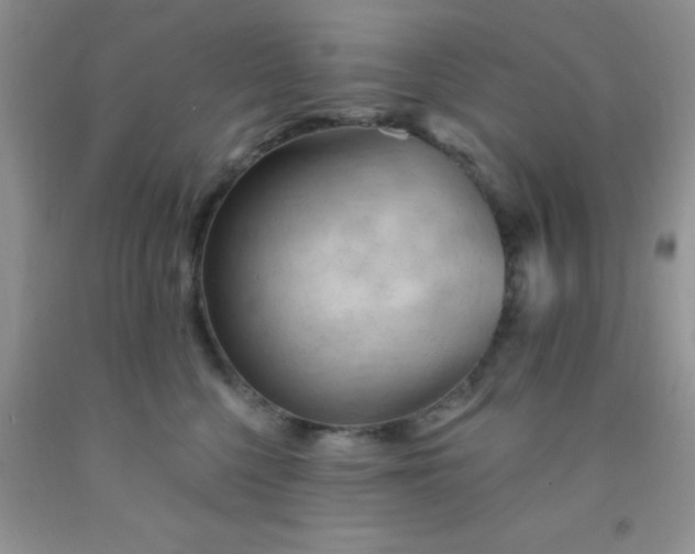 X0000092030568200709201614