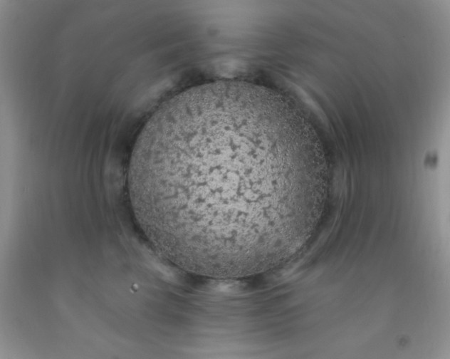 X0000092030569200709201614