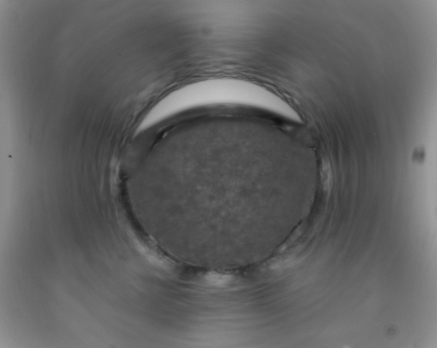 X0000092030570200709201614