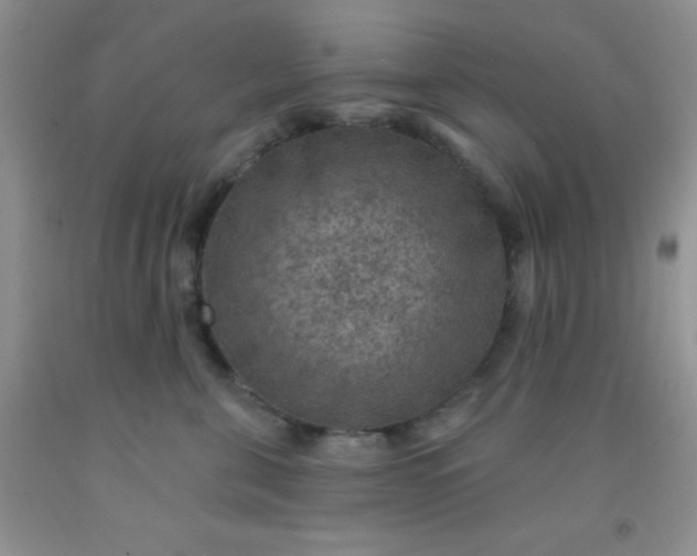 X0000092030571200709201614