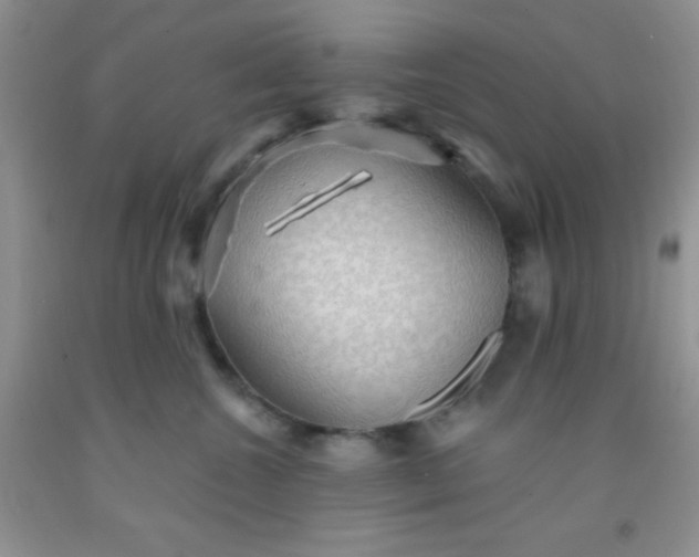 X0000092030572200709201614