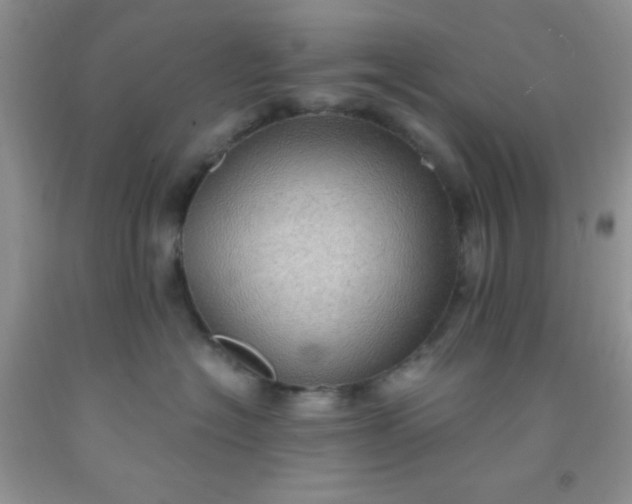 X0000092030574200709201614