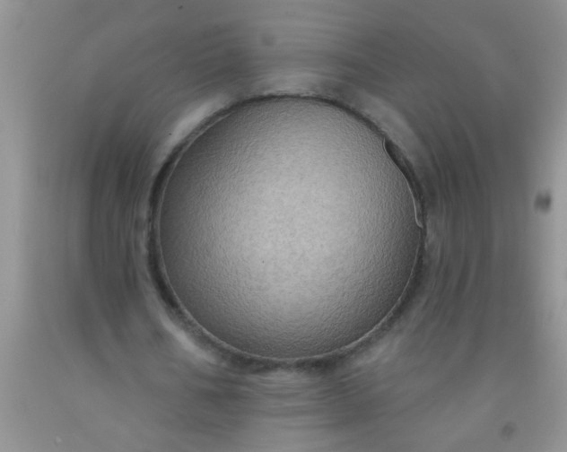 X0000092030578200709201614